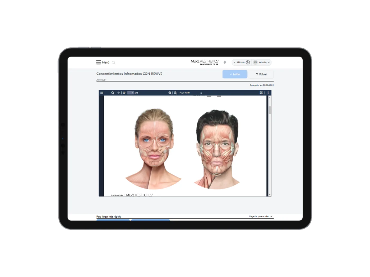 Manual interativo com ilustrações de anatomia facial produzido para a Merz Aesthetics